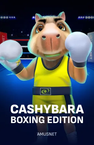 Cashybara Boxing Edition