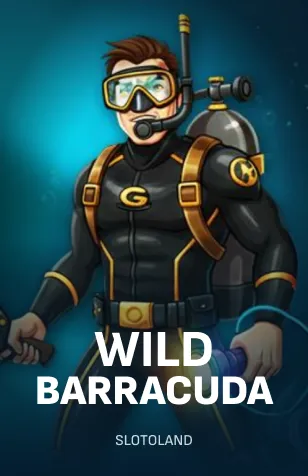 Wild Barracuda